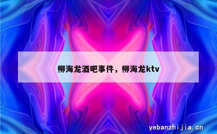 柳海龙酒吧事件，柳海龙ktv