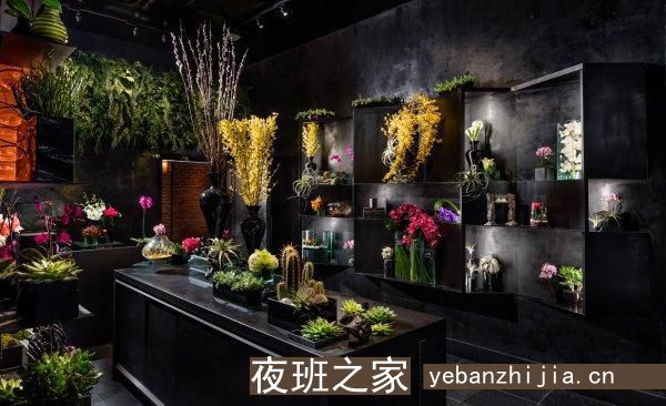 定安夜场招聘歌手_日工资12_上班容易