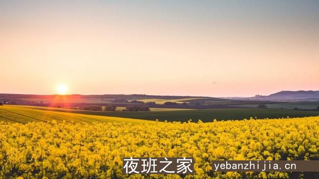 绵阳哪有场所招聘包厢服务员[不压不扣待遇好素质高]很棒