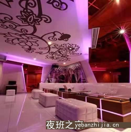 上海更高商务白小纯员工招聘3O起就差你了
