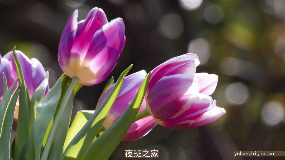 洛阳很大场所招聘女服务员[加入团队稳定赚天天上]