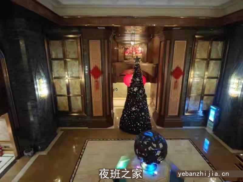 济南更高酒吧招聘-真诚直招没有费用-起步