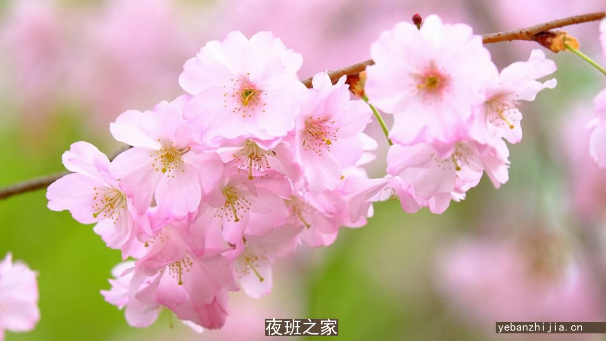 西宁很大场所招聘女人网[2023付出才有回报]商务场
