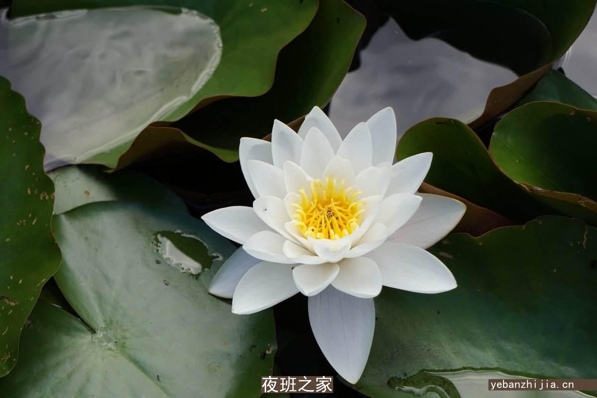 苏州很大场所招聘礼仪网[2023年跟军哥一起辉煌]稳定