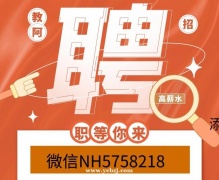 平顶山夜总会招聘兼职服务生10-常年满房