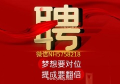 锡林郭勒场所招聘服务员10-翻包多