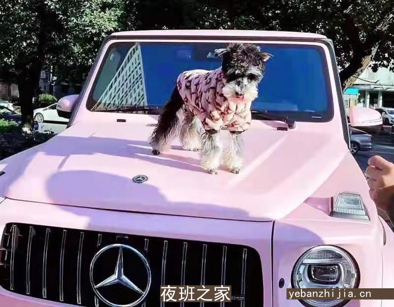 成都酒吧员工招聘包吃住【来就上】