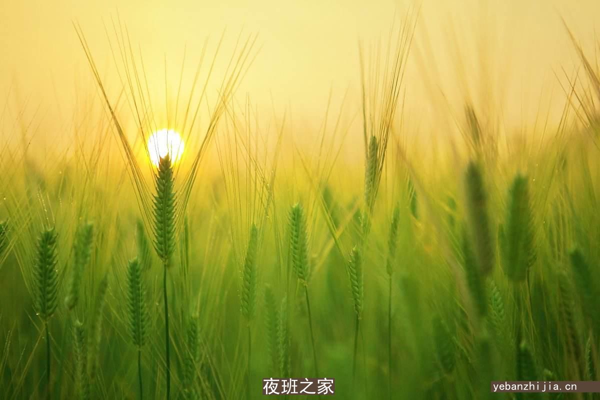 安庆最稳定ktv招聘一千场礼仪女[稳定场所包住宿]好上班