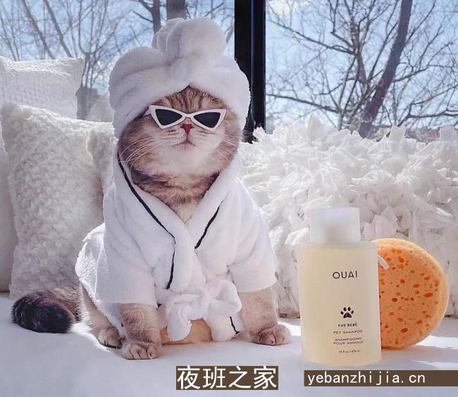 澄迈夜场招聘-澄迈更大夜场招聘员工实力业务带你赚