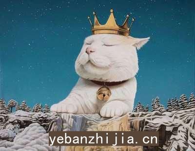 南平公司招聘工作-车接车送无任何杂费