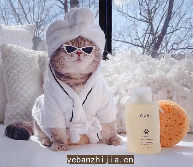 乌鲁木齐场所招聘服务员高薪诚聘想赚的人